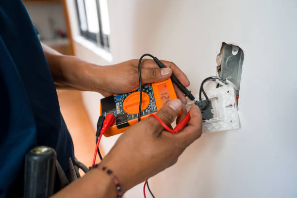 Best Residential Electrician Services  in Newaygo, MI