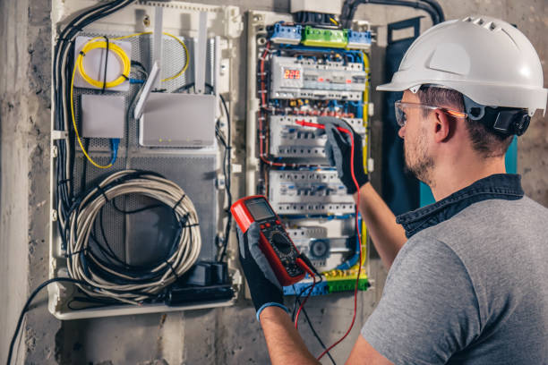 Best Electrician for Home Renovation  in Newaygo, MI