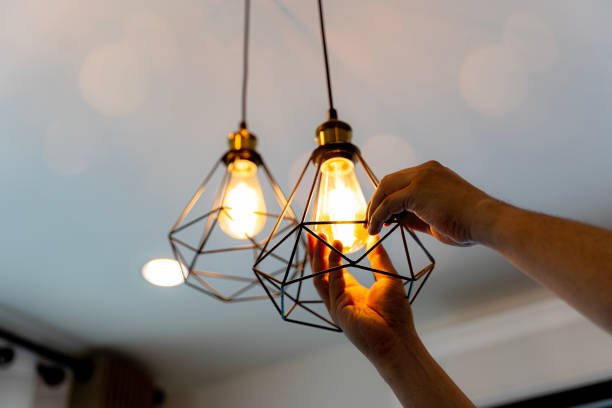 Best Circuit Breaker Repair  in Newaygo, MI