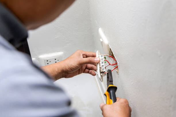 Best Ceiling Fan Installation Electrician  in Newaygo, MI