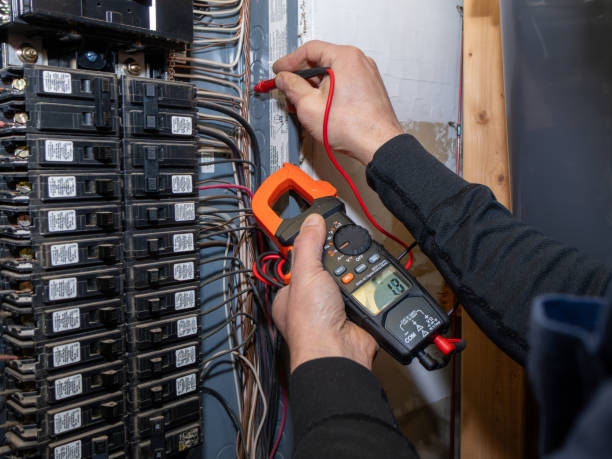 Best Electrical System Inspection  in Newaygo, MI